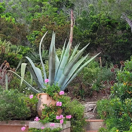 Calypso * Hyères